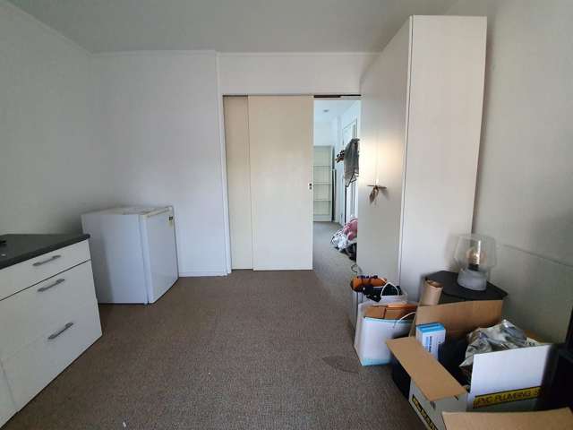 55 Richard Farrell Avenue Remuera_2