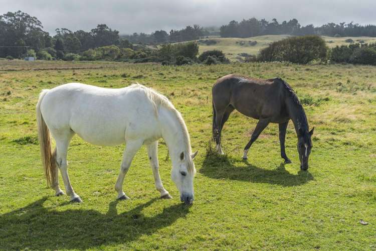 576 Brighton Road Westwood_28