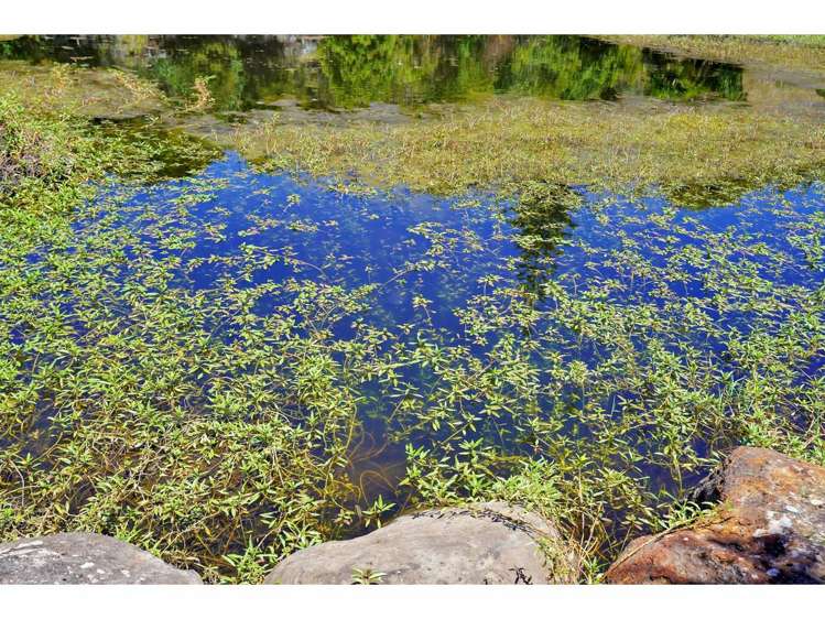 Lot 8/11 Lensvelt Lane Kerikeri_9