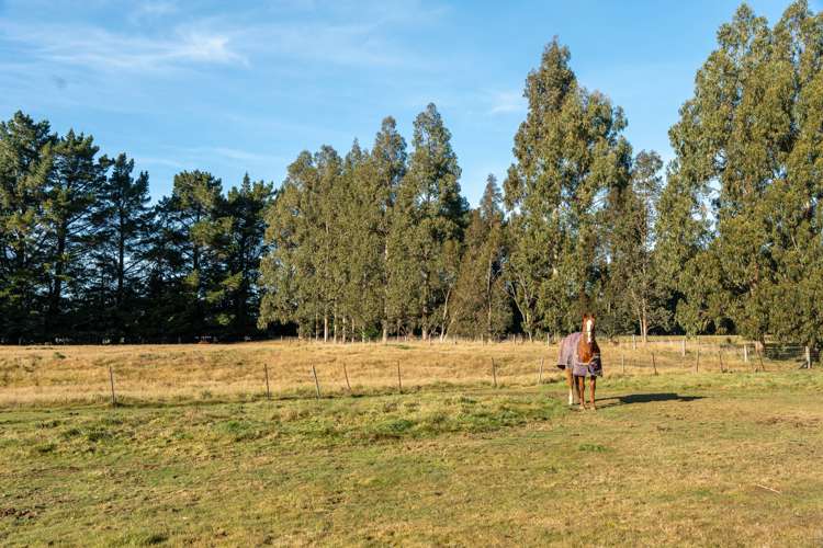 1015 Ellis Road Te Anau Surrounds_38