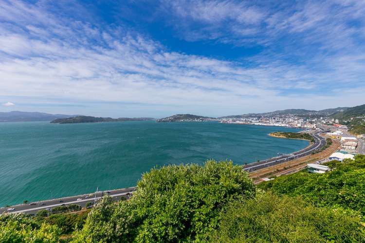 109 Amritsar Street Khandallah_2