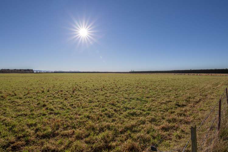 546 Homebush Road Kirwee_5