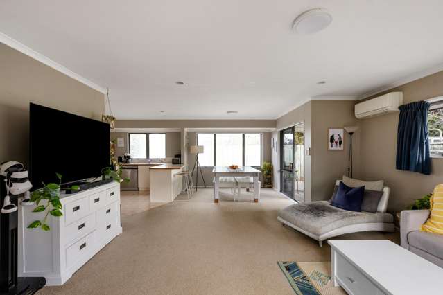171E Maungatapu Road Maungatapu_1