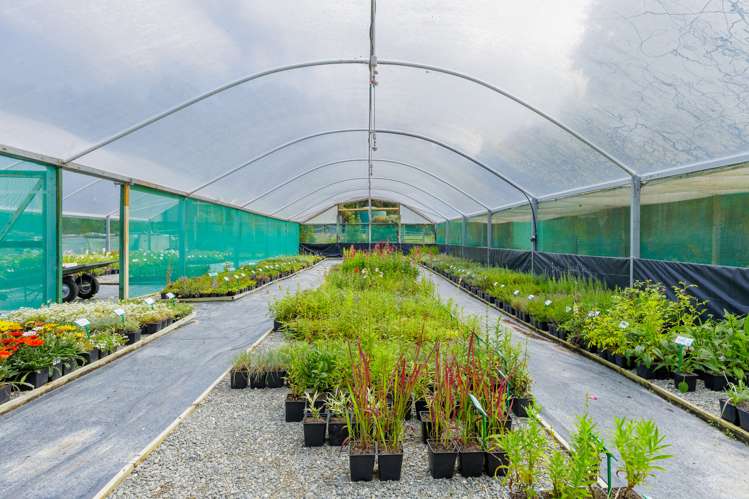 539 Upper Hook Road Hunter_18