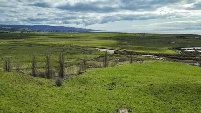 905 Miranda Road Miranda_4