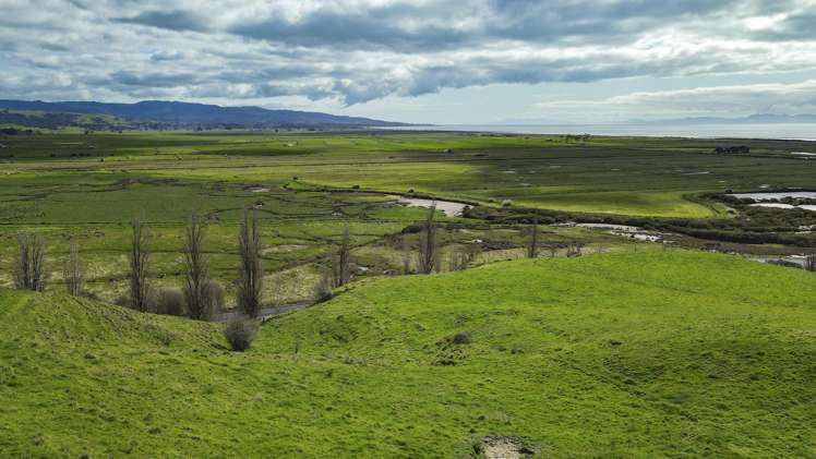 905 Miranda Road Miranda_4