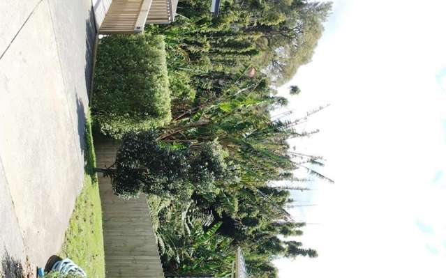 57 Leo Street Glen Eden_2