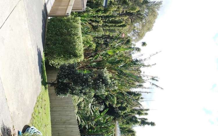 57 Leo Street Glen Eden_2