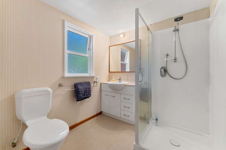 33 Andrew Avenue Roslyn_13