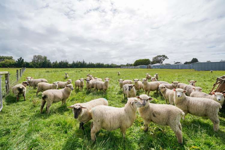 33 Pomona Road West Makarewa_25