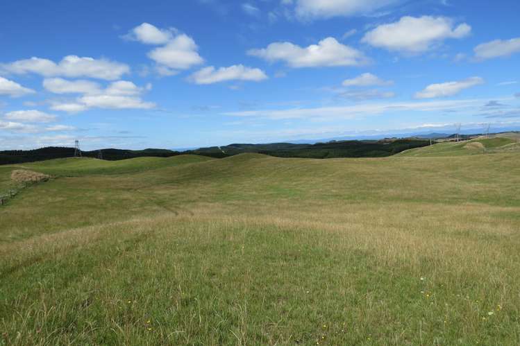 17 Hingarae Road Tihoi_14