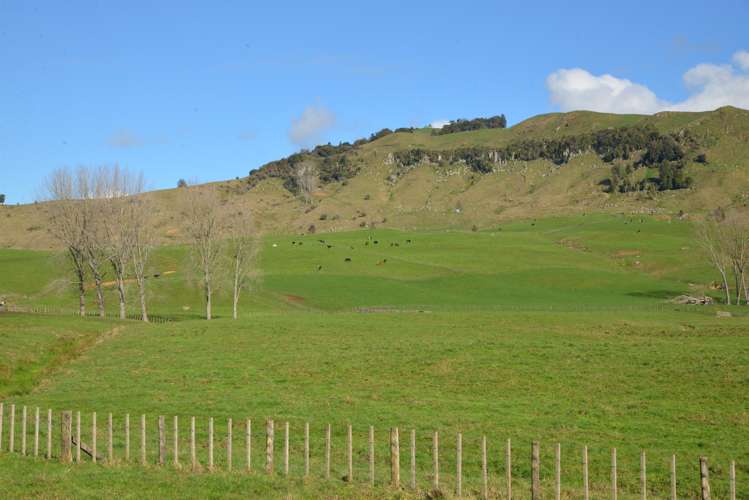 220 Tikitiki Road Te Kuiti_5