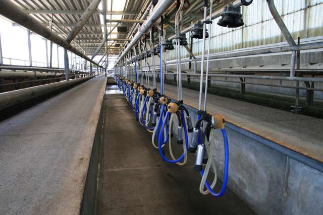 110-112 Mangaotea Road Tariki_3