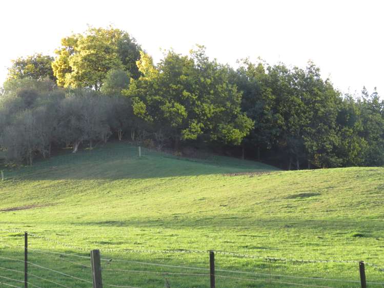 1629 Weston-Ngapara Road Enfield and Surrounds_12