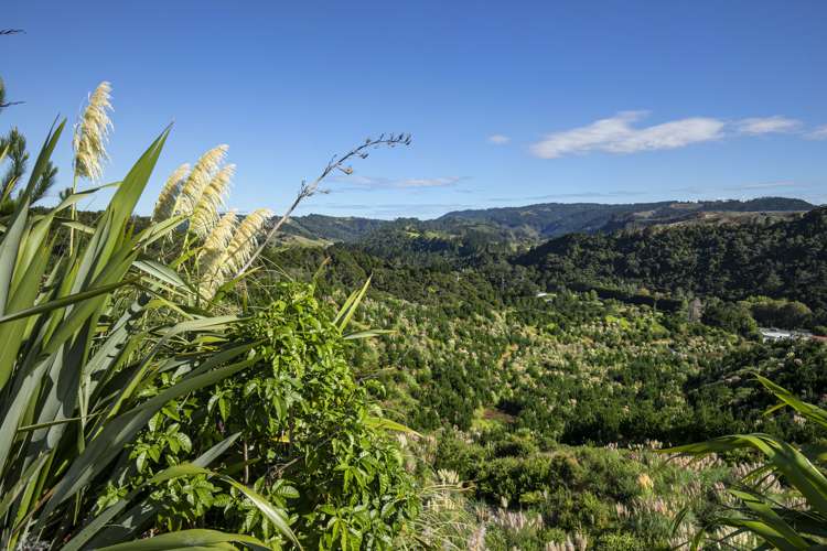 Lot 3, 163 Ahuroa Road Puhoi_9