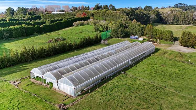 484C Wright Road Aongatete_15