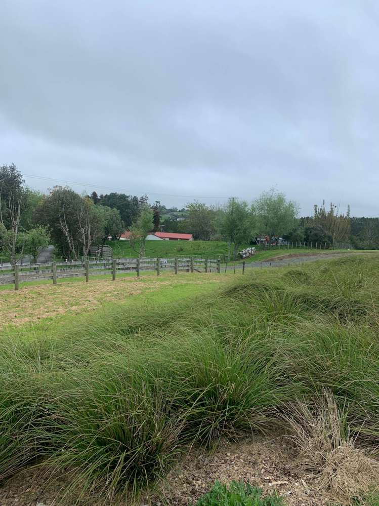 203 Cames Road Mangawhai_13