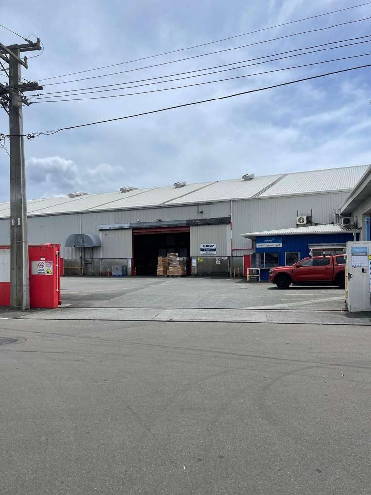 50 East Street Petone_9