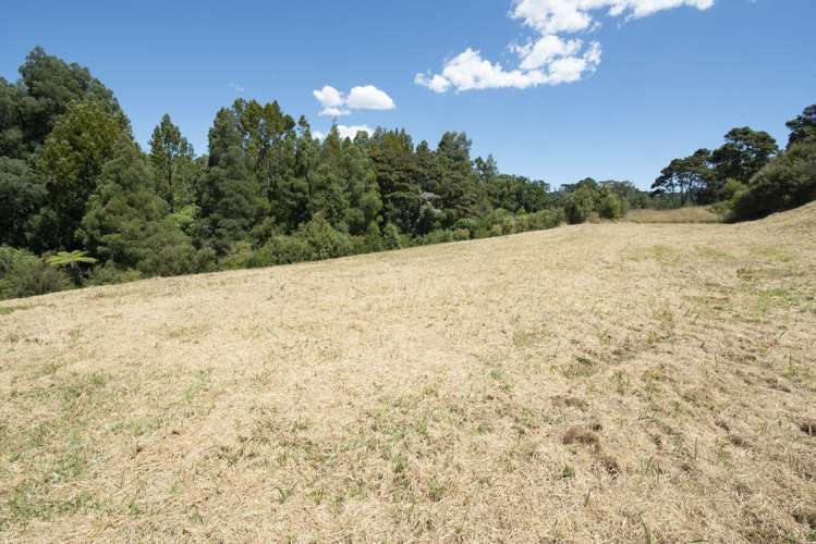 88 Vaughans Road Long Bay_7