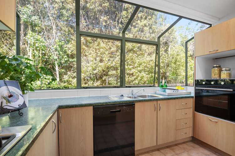 7b Woodbine Avenue Greenlane_24