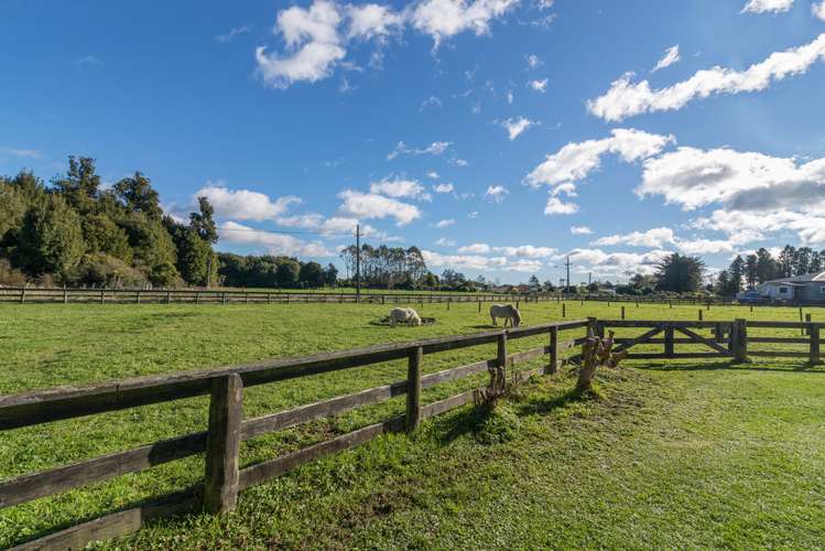 97 Tarena Street Mamaku_14