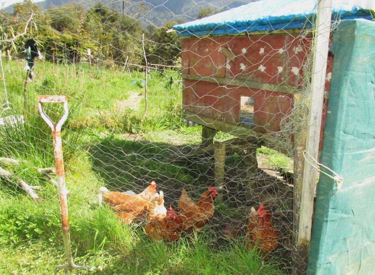 1712 State Highway 7 Moana / Lake Brunner_36