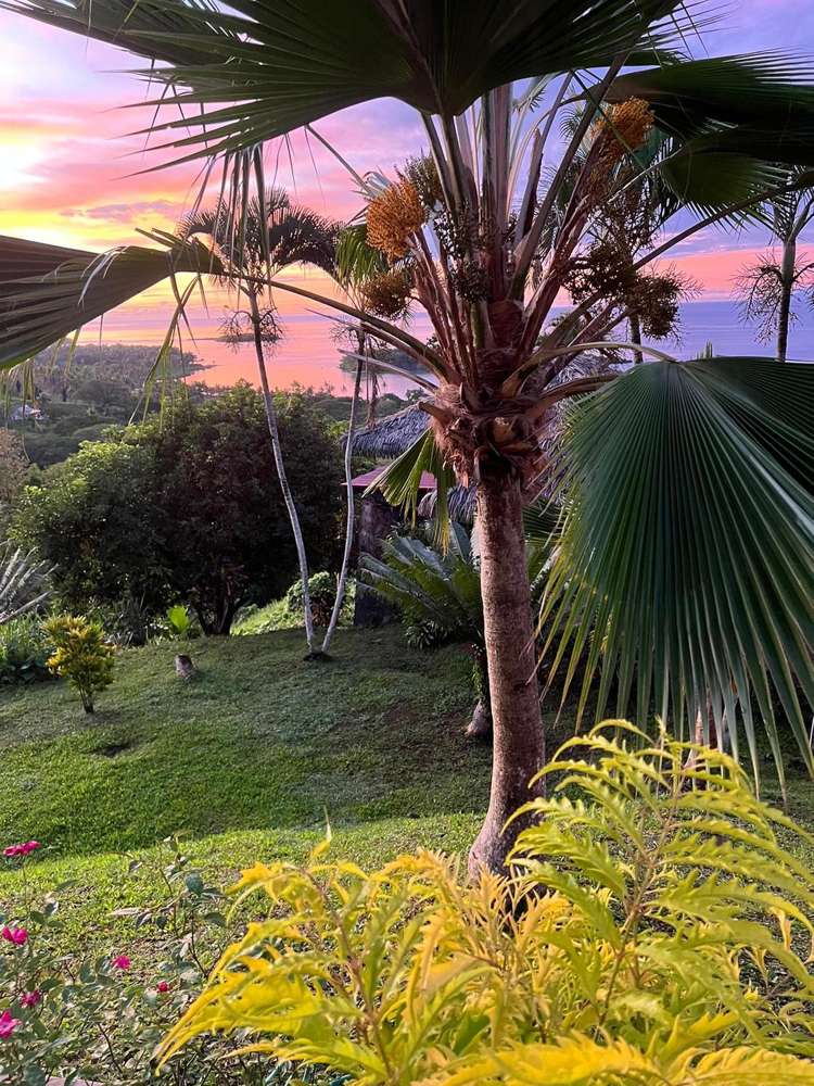 Address withheld Savusavu_27