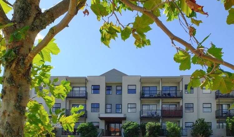 38/124 Stancombe Road Flat Bush_9