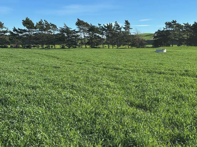 46 Clarkes Road, Glenledi Milton_14