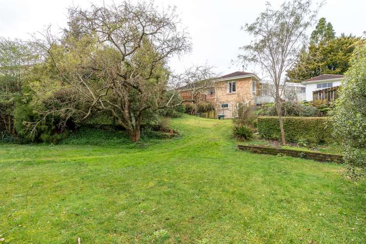 60 Pine Avenue Melville_13