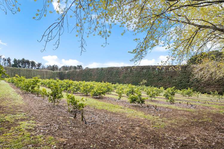 18 Cooper Road Maungatapere_24