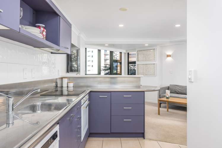 1q/100 Greys Avenue Auckland Central_6
