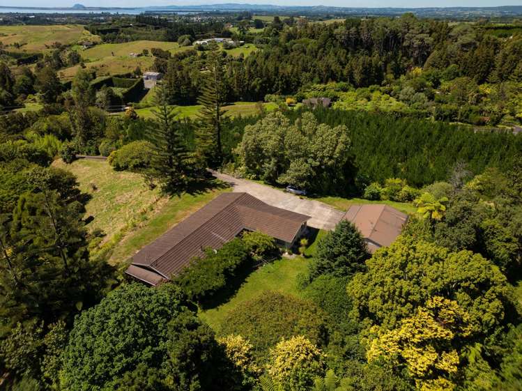 236 Willoughby Road Tahawai_17