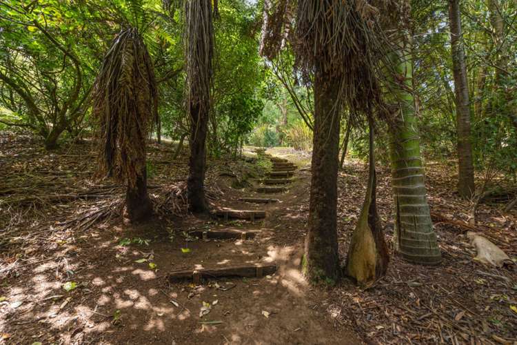 29a School Road Karangahake_13