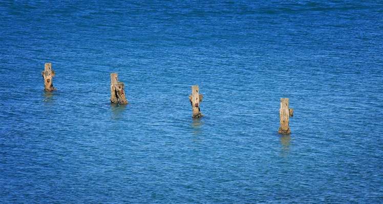 S503/326 Evans Bay Parade Hataitai_26