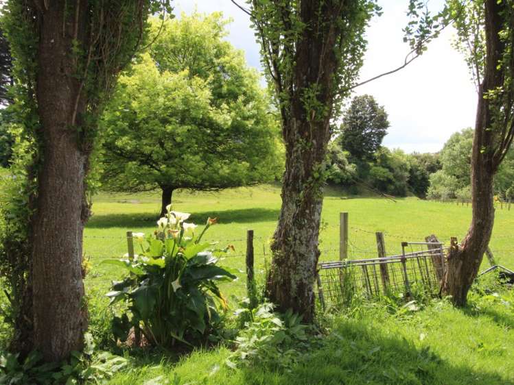 86 Ballance Road Pahiatua_3