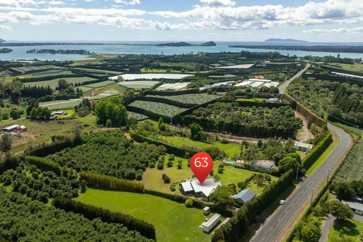 63 Ongare Point Road Katikati_35