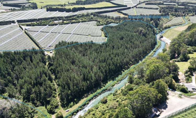 126B Casuarina Drive Rangiuru_1