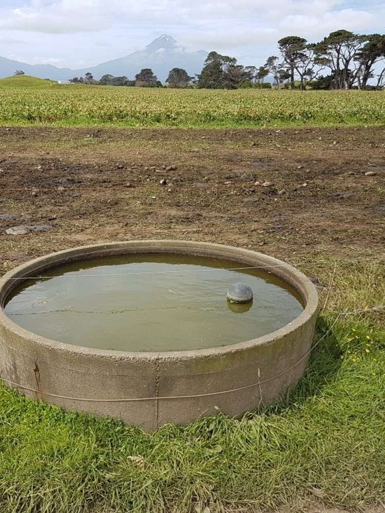 153 Tipoka Road Rahotu_11