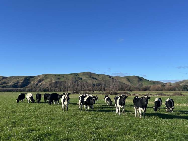 566 Pourerere Road Waipawa_35