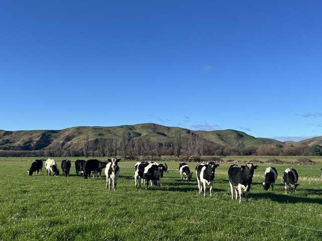 566 Pourerere Road Waipawa_4