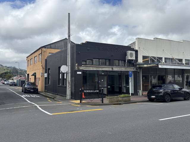 Petite Petone project property