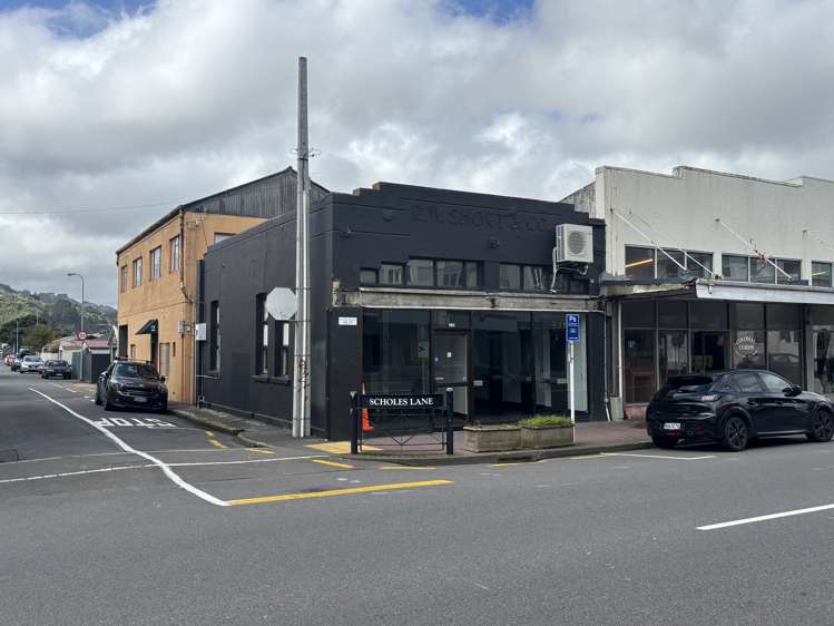 161 Jackson Street Petone_2