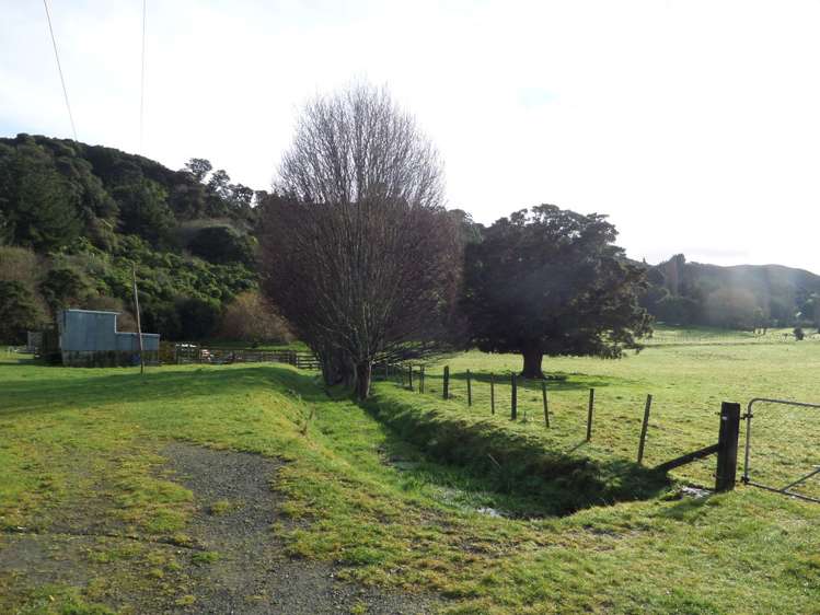 Harrison Street Featherston_15