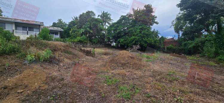 Address withheld Sigatoka_10
