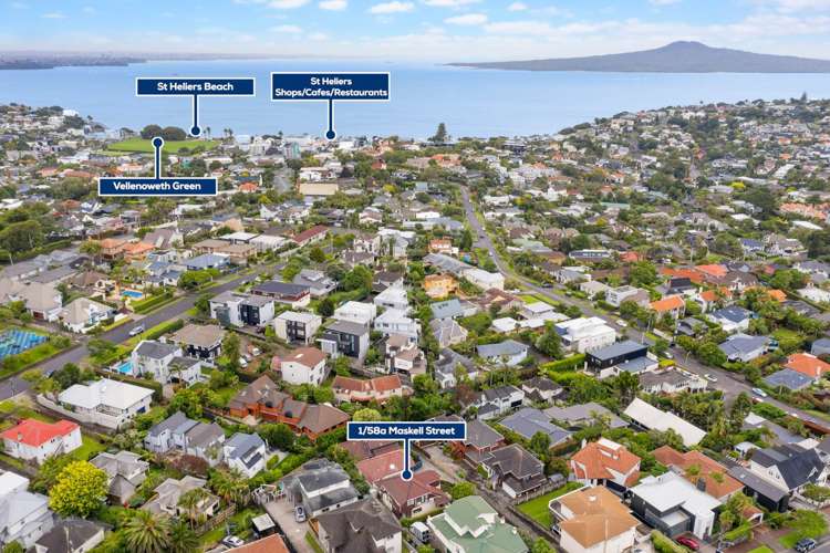 1/58a Maskell Street Saint Heliers_15