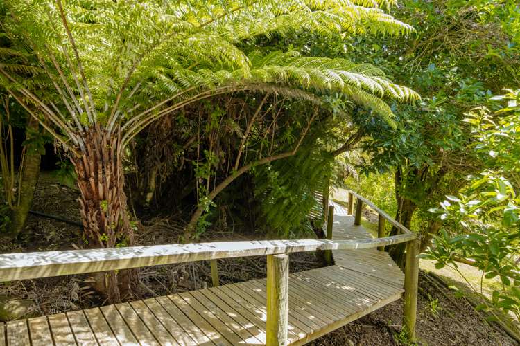 255 Queen Charlotte Drive Havelock_25