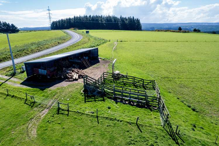 Waihola Hill Road Milton_16
