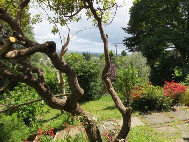 2 Kotuku Street Te Aroha_16