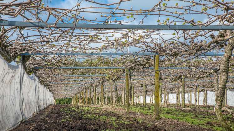 9765 State Highway 2 Waihi_13